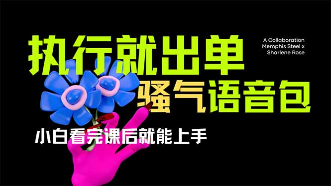 （14170期）爆火全网的开车导航骚气语音包,只要执行就出单，小白看完课程就能实操…_豪客资源创业项目网-豪客资源_豪客资源库