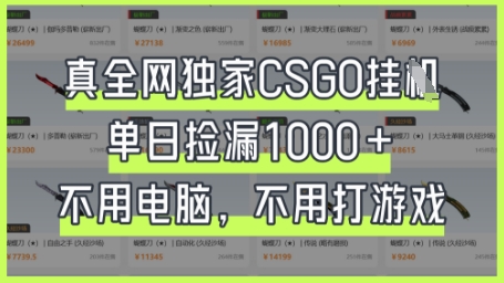 真全网独家CSGO挂G，单日捡漏1k+【揭秘】——豪客资源创业项目网-豪客资源_豪客资源库