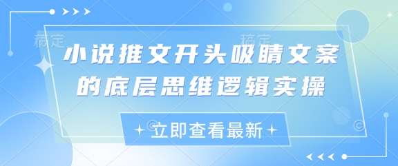 小说推文开头吸睛文案的底层思维逻辑实操——豪客资源创业项目网-豪客资源_豪客资源库