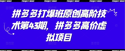 拼多多打爆班原创高阶技术第43期，拼多多高价虚拟项目——豪客资源创业项目网-豪客资源_豪客资源库