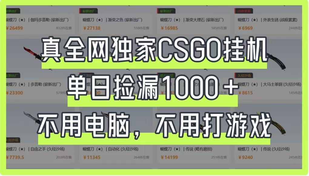 真全网独家CSGO挂机，单日捡漏1000+，不用电脑，不用养号_豪客资源创业网-豪客资源_豪客资源库
