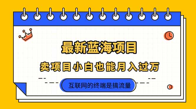 （14289期）2025年最新蓝海项目，卖项目小白也能月入过万_豪客资源创业项目网-豪客资源_豪客资源库