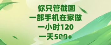 你只管截图，一部手机在家做，苹果安卓都可以，一天5张+【揭秘】——豪客资源创业项目网-豪客资源_豪客资源库