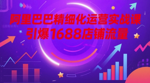 阿里巴巴精细化运营实战课，引爆1688店铺流量——豪客资源创业项目网-豪客资源_豪客资源库