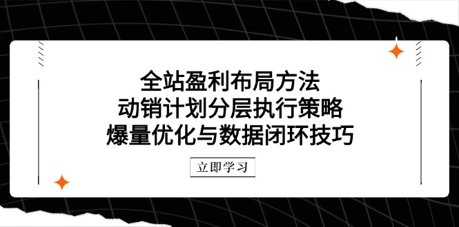 （14698期）全站盈利布局方法：动销计划分层执行策略，爆量优化与数据闭环技巧_豪客资源创业项目网-豪客资源_豪客资源库