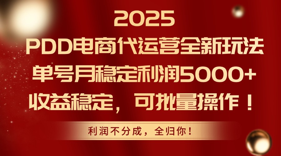 （14839期）2025PDD电商代运营全新玩法，单号月稳定利润5000+，收益稳定，可批量操作_豪客资源创业项目网-豪客资源_豪客资源库