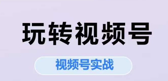 玩转视频号，视频号实战系列课——豪客资源创业项目网-豪客资源_豪客资源库