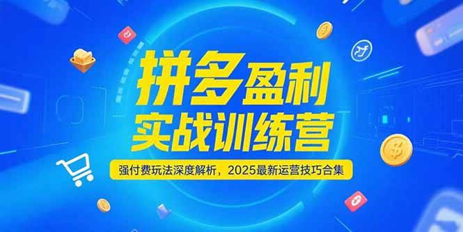 拼多多盈利实战训练营，强付费玩法深度解析，2025最新运营技巧合集_豪客资源创业网-豪客资源_豪客资源库