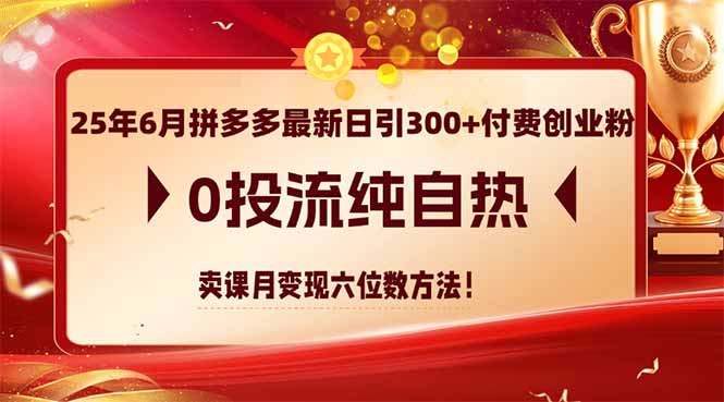 （14989期）25年6月拼多多最新日引300+付费创业粉，0投流纯自热 卖课月变现六位数方法_豪客资源创业项目网-豪客资源_豪客资源库