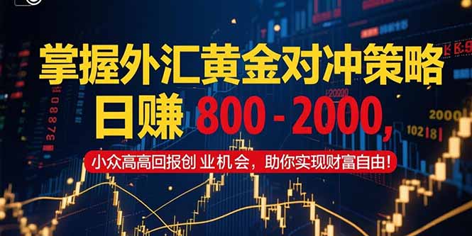 （15198期）掌握外汇黄金对冲策略，日赚 800 – 2000，小众高回报创业机会，助你实…_豪客资源创业项目网-豪客资源_豪客资源库