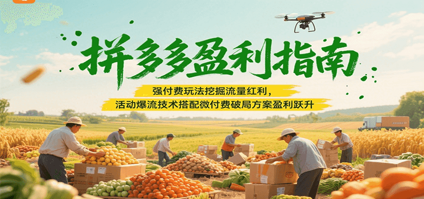 拼多多盈利指南：强付费玩法挖掘流量红利，活动爆流技术搭配微付费方案实现盈利跃升_豪客资源创业网-豪客资源_豪客资源库