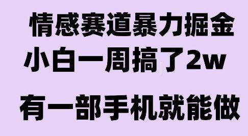 情感暴力掘金项目，新人操作一周挣了2W，长期稳定小白可做【揭秘】——豪客资源创业项目网-豪客资源_豪客资源库