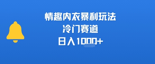 情趣内衣暴利玩法，冷门赛道，日入1k+——豪客资源创业项目网-豪客资源_豪客资源库