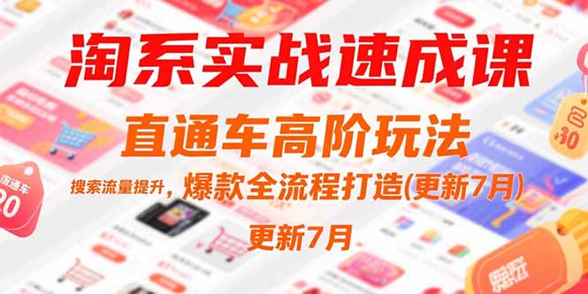 （15374期）淘系实战速成课，直通车高阶玩法，搜索流量提升，爆款全流程打造(更新7月)_豪客资源创业项目网-豪客资源_豪客资源库