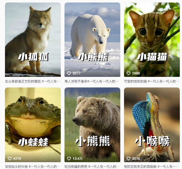 最新搞笑动物百科详细解说课程，蓝海赛道，流量非常大，轻松签独家进精选——豪客资源创业项目网-豪客资源_豪客资源库