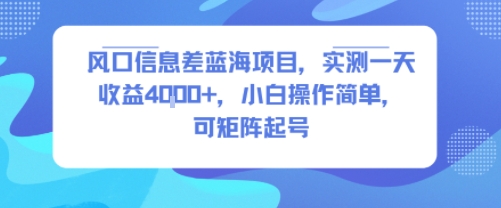 风口信息差蓝海项目，实测一天收益4k+，小白操作简单，可矩阵起号——豪客资源创业项目网-豪客资源_豪客资源库