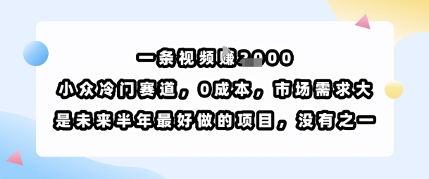 一条视频挣1k，小众冷门赛道，0成本，市场需求大，是未来半年最好做的项目，没有之一——豪客资源创业项目网-豪客资源_豪客资源库