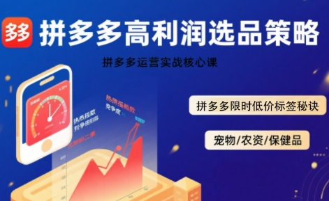 拼多多选品暴利技术实战课，拼多多高利润选品策略，拼多多限时低价标签秘诀——豪客资源创业项目网-豪客资源_豪客资源库