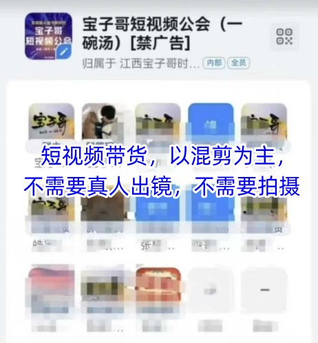 宝子哥头部团队短视频带货，以混剪为主，不需要真人出镜，不需要拍摄【更新8月】——豪客资源创业项目网-豪客资源_豪客资源库