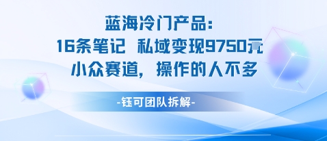 蓝海项目：16条笔记私域变现9750米小众赛道操作的人不多——豪客资源创业项目网-豪客资源_豪客资源库