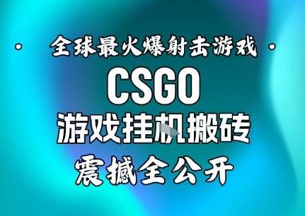 【年底大揭秘】基于全球最火爆的射击CSGO游戏挂G搬砖，日入5张+，震撼公开——豪客资源创业项目网-豪客资源_豪客资源库