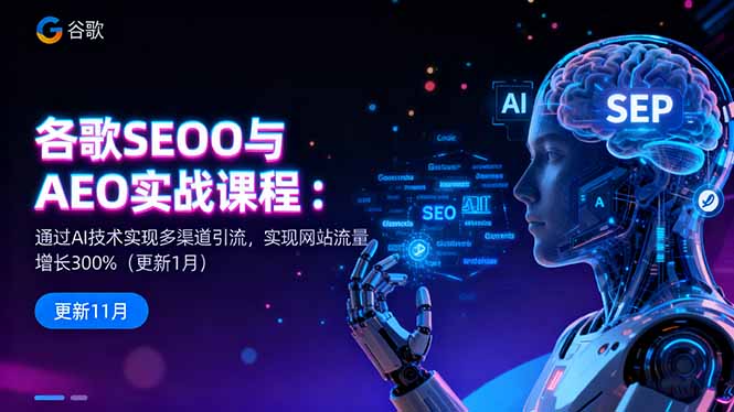（16463期）谷歌SEO与AEO实战课程：通过AI技术实现多渠道引流，实现网站流量增长300%_豪客资源创业项目网-豪客资源_豪客资源库