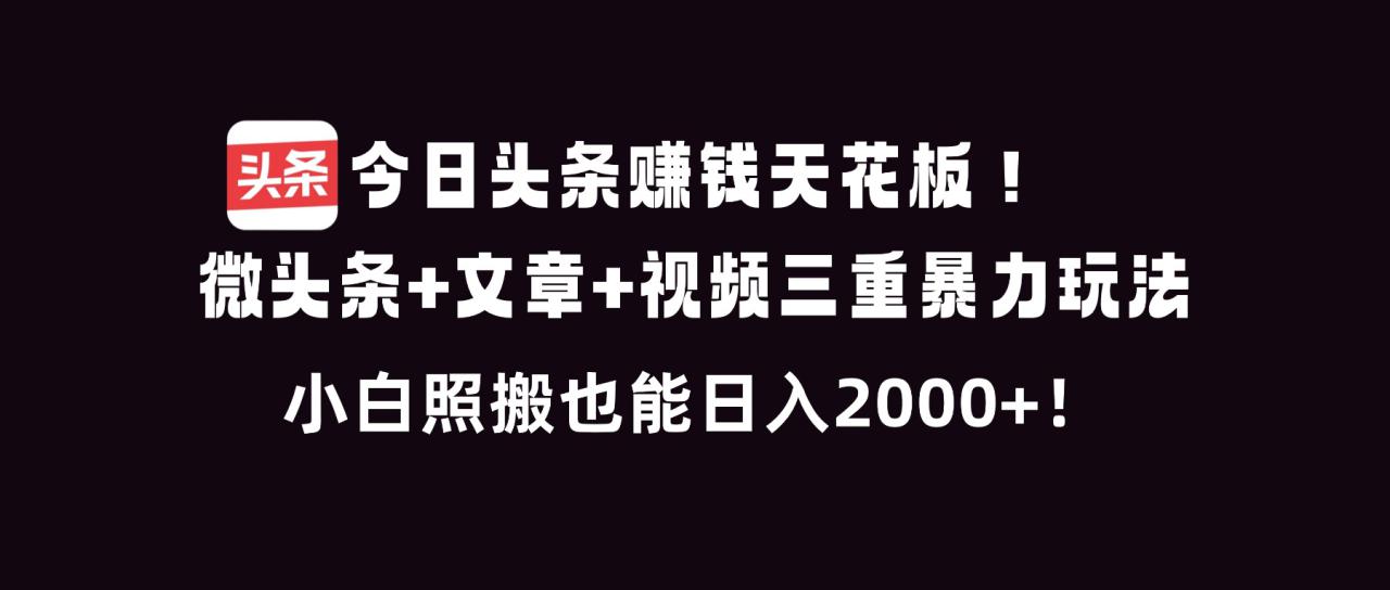 （16888期）今日头条赚钱天花板！微头条+文章+视频三重暴利玩法，小白照搬也能日人2000+_豪客资源创业项目网-豪客资源_豪客资源库