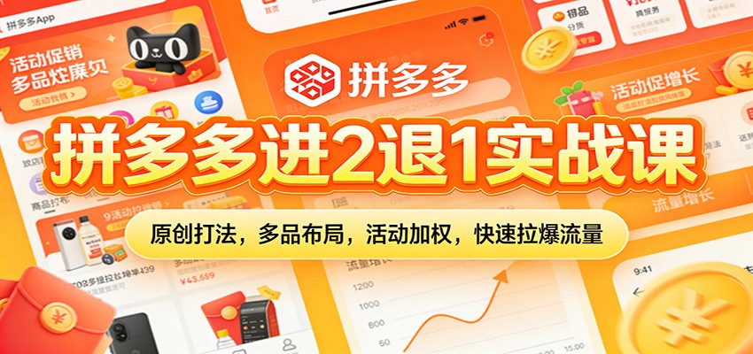 拼多多进2退1实战课：原创打法，多品布局，活动加权，快速拉爆流量_豪客资源创业网-豪客资源_豪客资源库