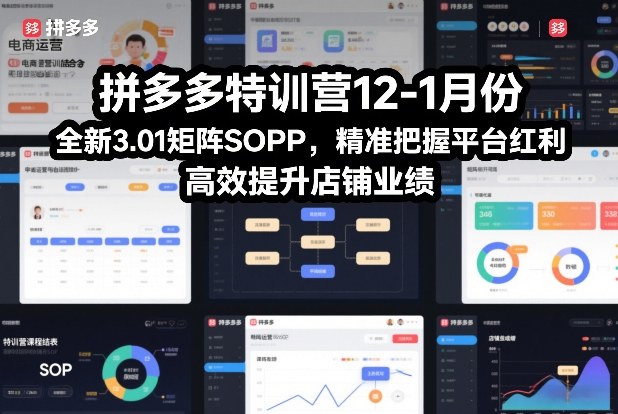 拼多多特训营12-1月份，全新3.01矩阵Sop，精准把握平台红利，高效提升店铺业绩——豪客资源创业项目网-豪客资源_豪客资源库