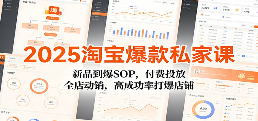 2025淘宝爆款私家课：新品到爆SOP，付费投放，全店动销，高成功率打爆店铺_豪客资源创业网-豪客资源_豪客资源库