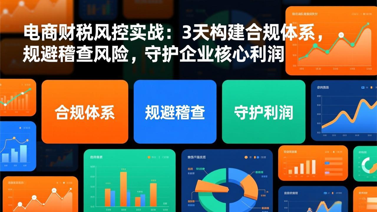 （17197期）电商财税风控实战：3天构建合规体系，规避稽查风险，守护企业核心利润_豪客资源创业项目网-豪客资源_豪客资源库