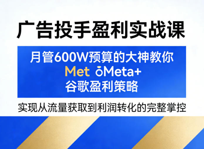 广告投手盈利实战课，月管600W预算的大神教你Meta+谷歌盈利策略，实现从流量获取到利润转化的完整掌控——豪客资源创业项目网-豪客资源_豪客资源库