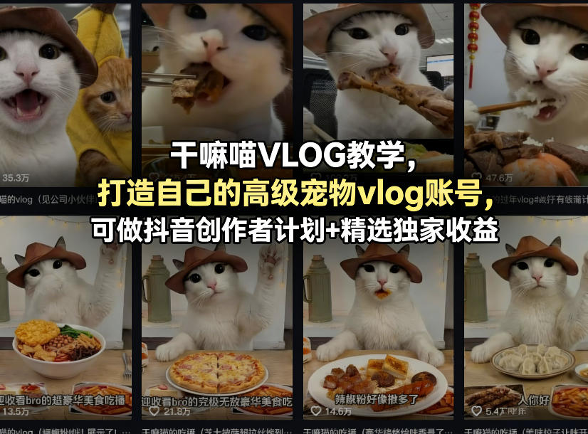 干嘛喵VLOG教学，打造自己的高级宠物vlog账号，可做抖音创作者计划+精选独家收益——豪客资源创业项目网-豪客资源_豪客资源库